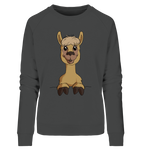 Pullover - Alpaca - Ladies - Schweinchen's Shop - Sweatshirts - Anthracite / S