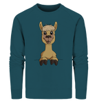 Pullover - Alpaca - Men - Schweinchen's Shop - Sweatshirts - Stargazer / S