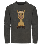 Pullover - Alpaca - Men - Schweinchen's Shop - Sweatshirts - Dark Heather Grey / S