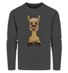 Pullover - Alpaca - Men - Schweinchen's Shop - Sweatshirts - Anthracite / S
