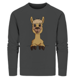 Pullover - Alpaca - Men - Schweinchen's Shop - Sweatshirts - Anthracite / S