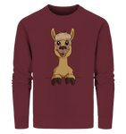 Pullover - Alpaca - Men - Schweinchen's Shop - Sweatshirts - Burgundy / S