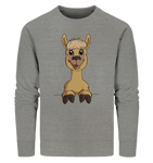 Pullover - Alpaca - Men - Schweinchen's Shop - Sweatshirts - Mid Heather Grey / S
