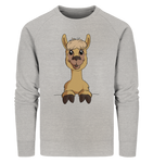 Pullover - Alpaca - Men - Schweinchen's Shop - Sweatshirts - Heather Grey / S