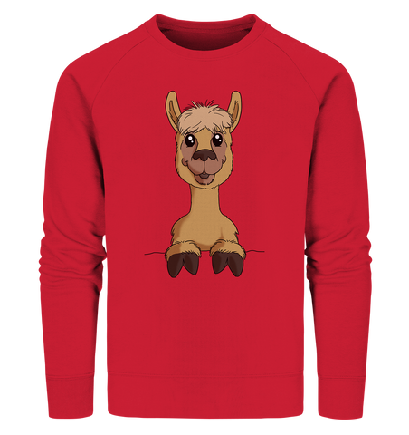 Pullover - Alpaca - Men - Schweinchen's Shop - Sweatshirts - Red / S