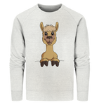 Pullover - Alpaca - Men - Schweinchen's Shop - Sweatshirts - Cream Heather Grey / S