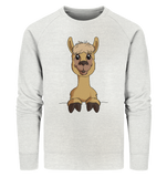Pullover - Alpaca - Men - Schweinchen's Shop - Sweatshirts - Cream Heather Grey / S